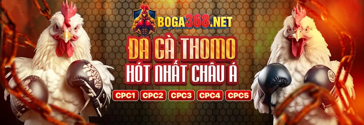 Quyền của người dùng tại 28bet
